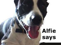 AlfieSaysgoodbye
