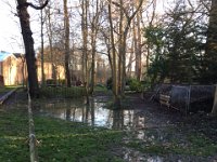 Site241220 (2)