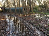Site241220 (3)