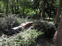 GardenRailway210622(2)