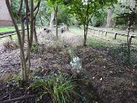 Tuesday061020 (15)